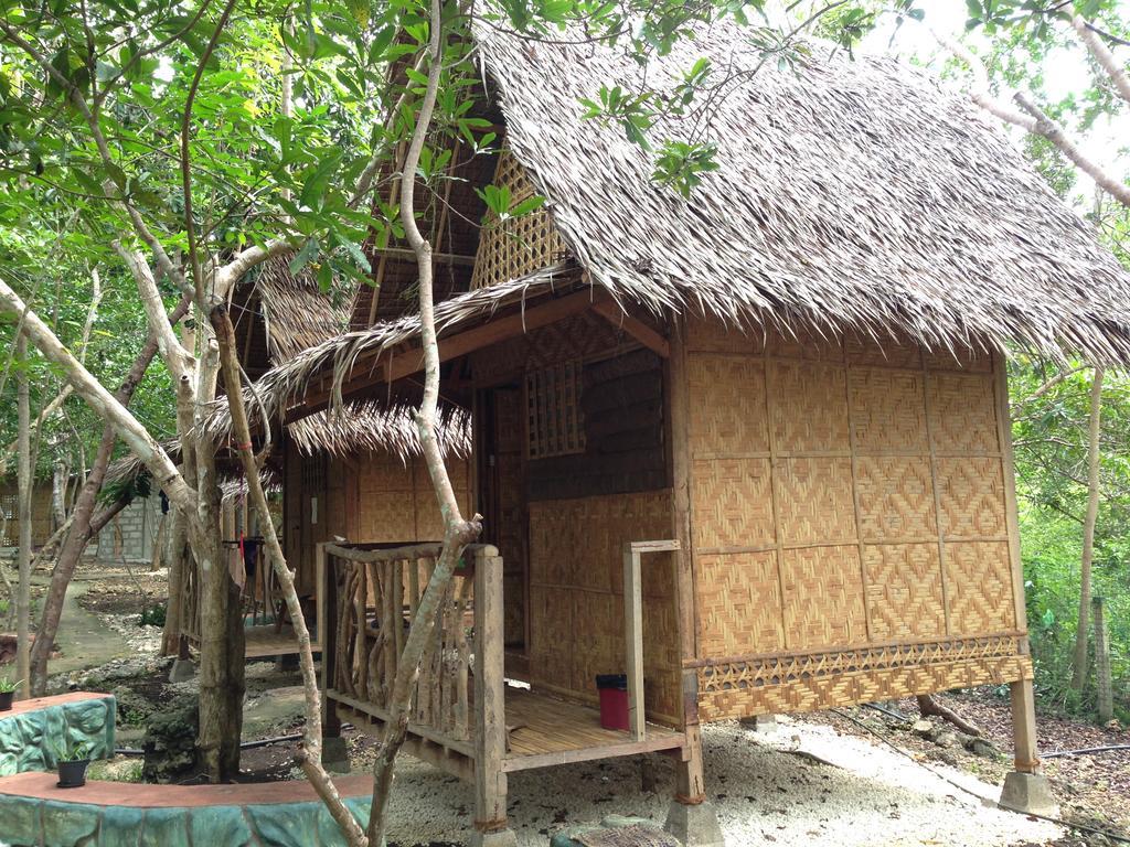 Bohol Coco Farm Hostel ปางเลา ภายนอก รูปภาพ