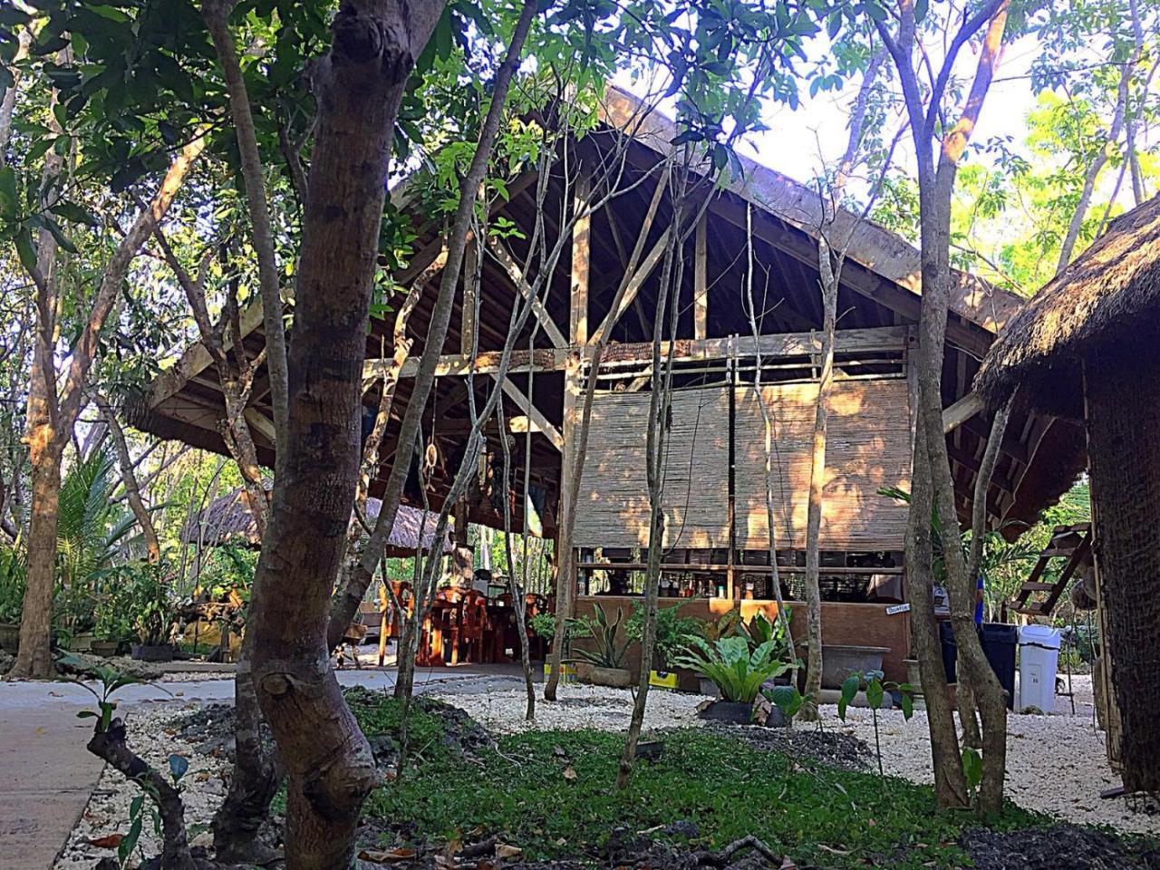 Bohol Coco Farm Hostel ปางเลา ภายนอก รูปภาพ