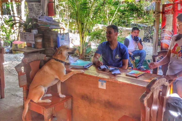 Bohol Coco Farm Hostel ปางเลา ภายนอก รูปภาพ